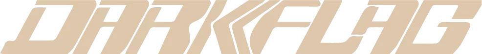 Logo DarkFlag Color