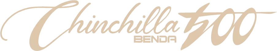 Logo ChinChilla Color